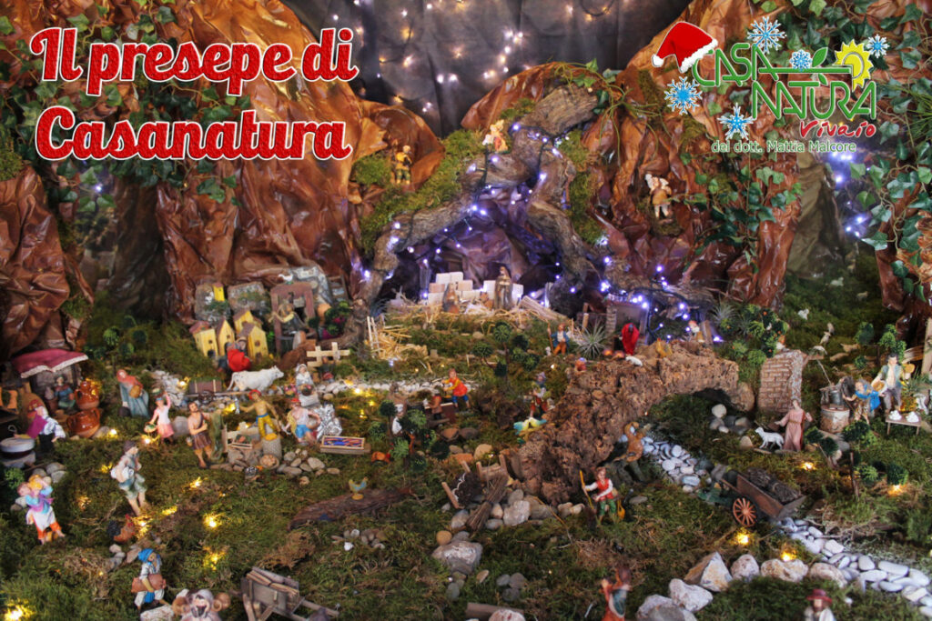 Natale Casanatura 2015