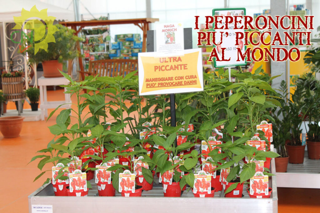 I peperoncini più piccanti al mondo 2014