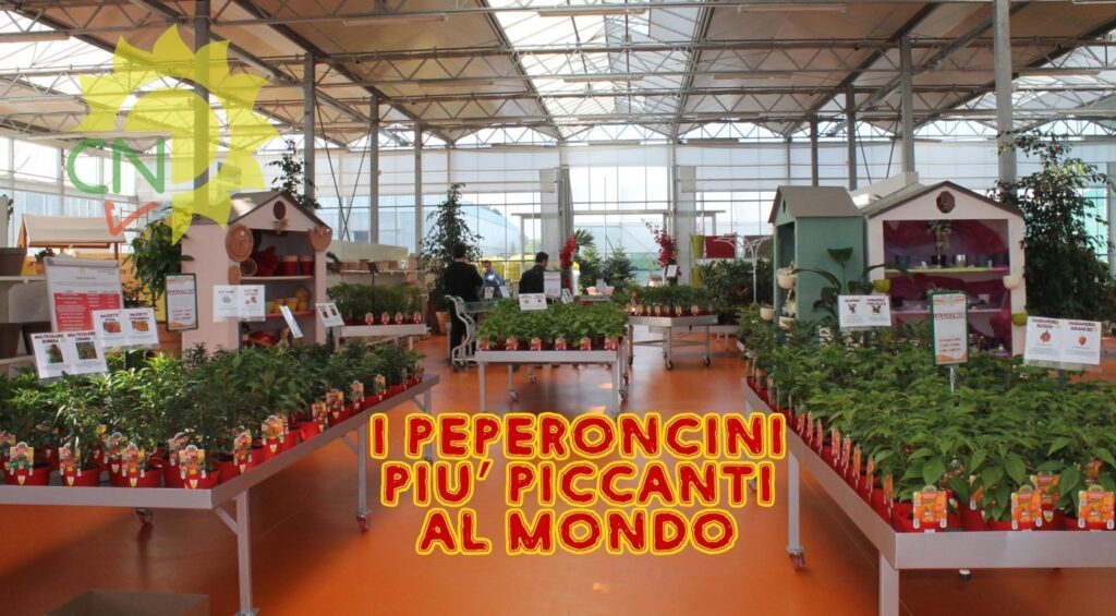 I peperoncini più piccanti al mondo 2015