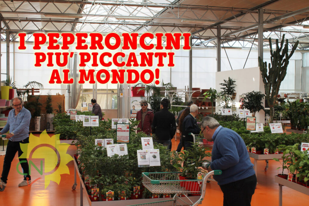 I peperoncini più piccanti al mondo 2016