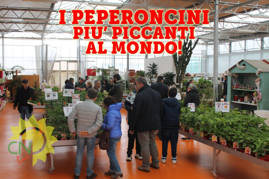 I peperoncini più piccanti al mondo 2016