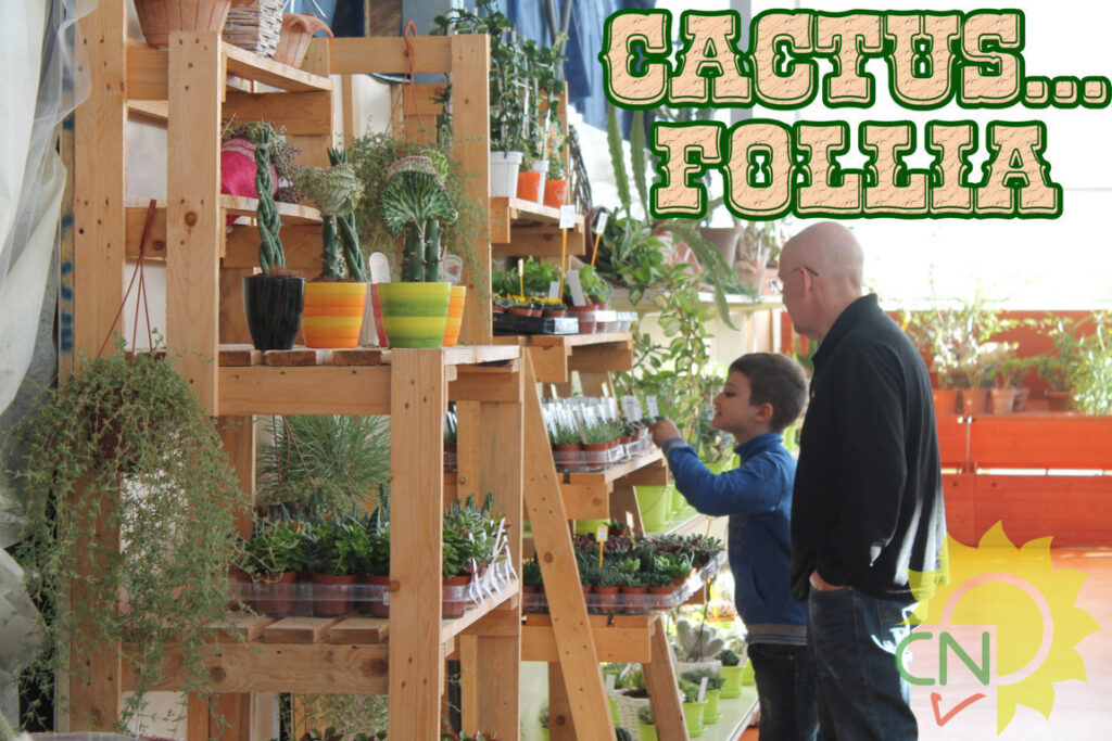 Cactusfollia 2015