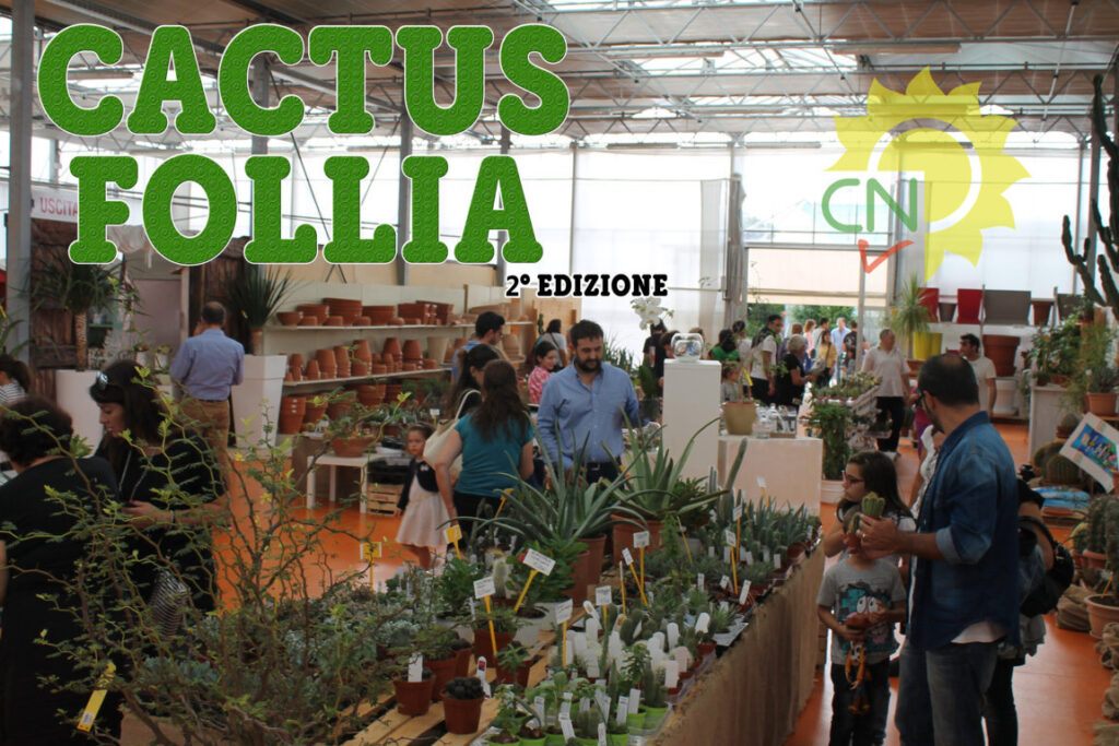 Cactusfollia 2016