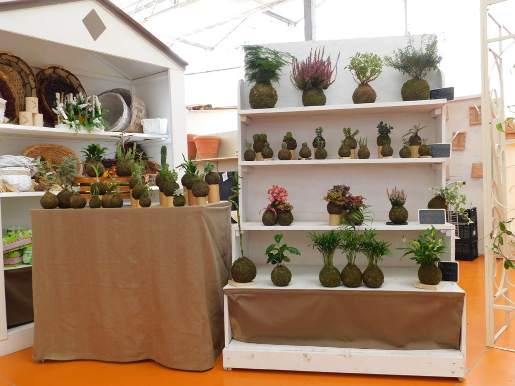 Cactusfollia 2018 - Laboratorio sui kokedama