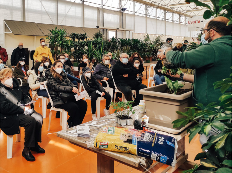 Corso sull'orto domestico