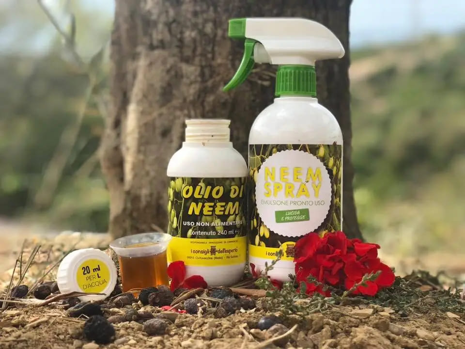 I prodotti biologici a base di Olio di Neem