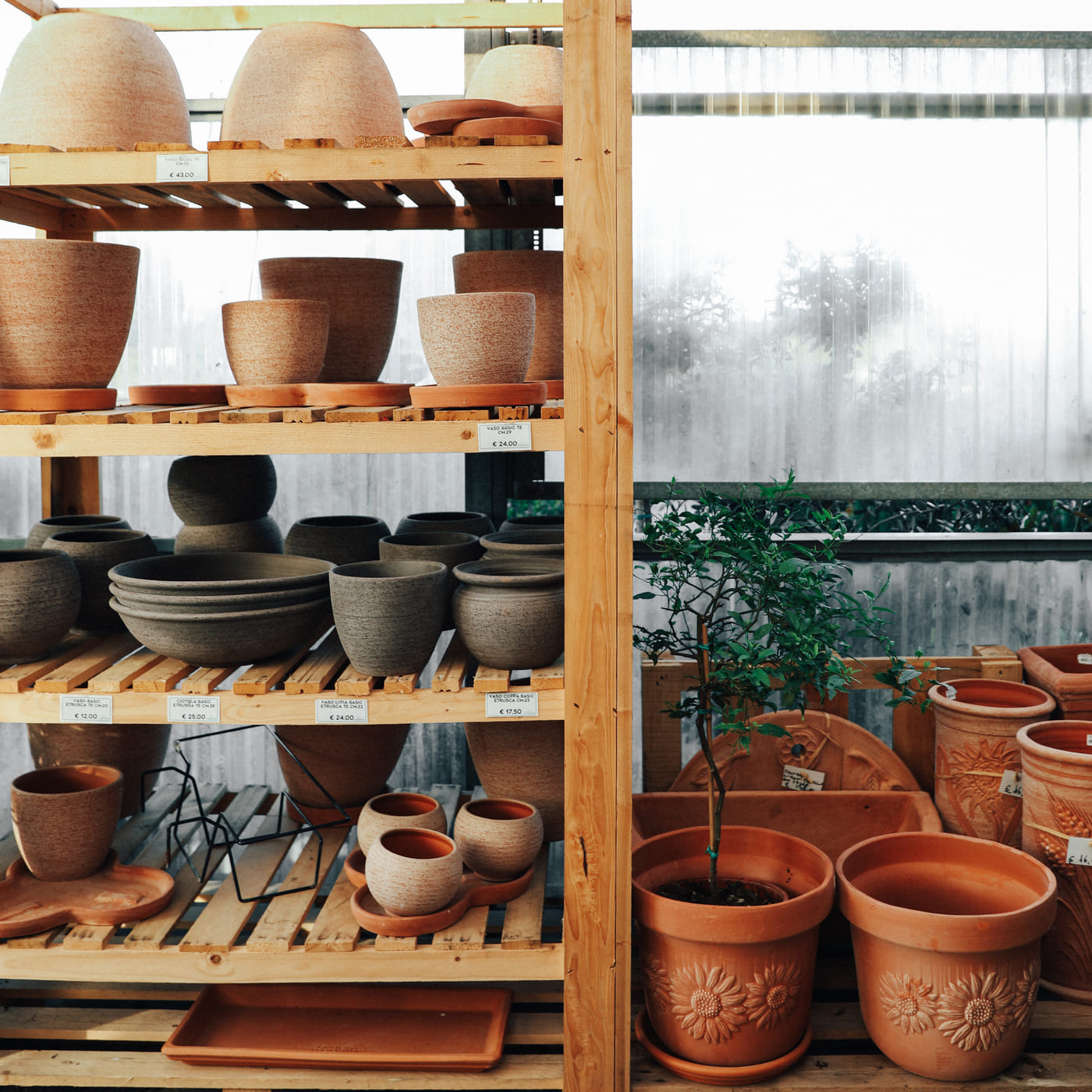 Giardinaggio e home decor: i vasi